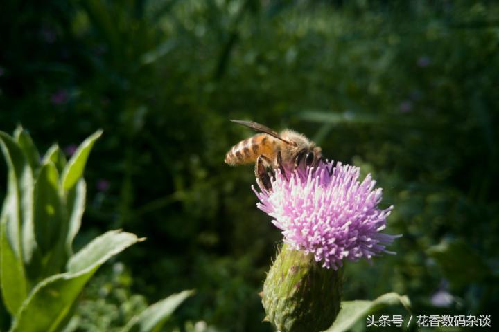 努比亚z17mini专业评测,努比亚z17mini测评最新