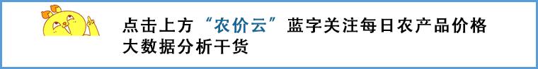 23年巨峰葡萄批发价,葡萄产地巨峰葡萄大量批发