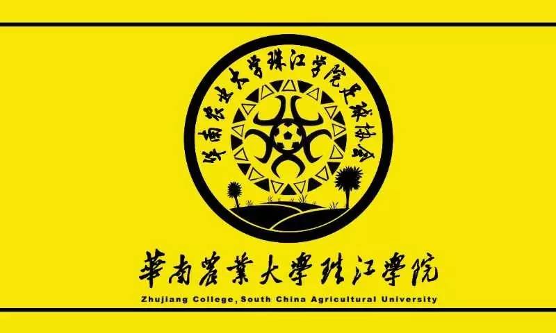 jfc青少年足球锦标赛,jfc青少年西南赛区