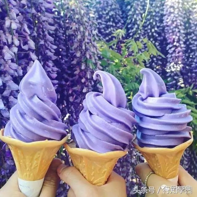 送走了樱花,去日本最梦幻公园吃紫藤花冰激凌吧