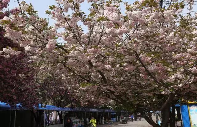 大西安·微PK｜阎良区竟然还有这么多名字你知道几个？