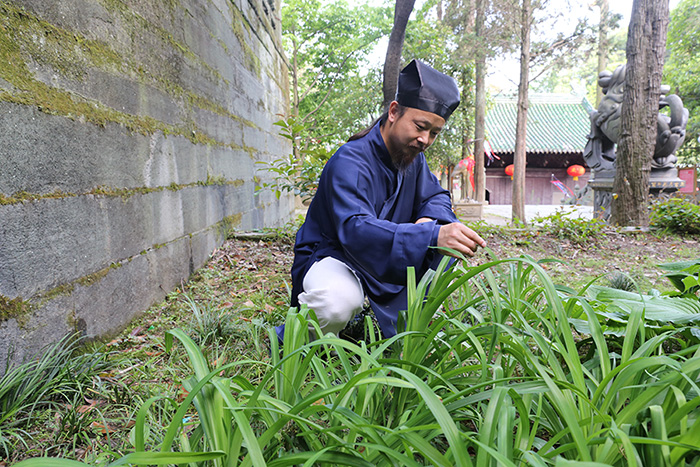 武当山金顶陈师行,武当山道长陈师行走火入魔