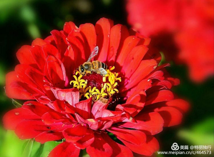 走过四季夏天最美,走过春夏美丽的秋冬