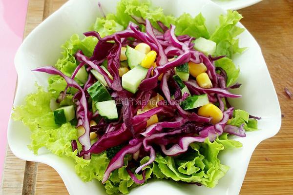 减肥的蔬菜沙拉有哪些,推荐6种美容又减肥的沙拉