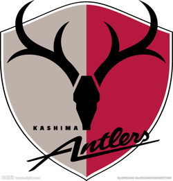 广州恒大对鹿岛集锦,19年亚冠恒大1-1鹿岛鹿角