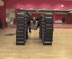 你知道我练习了多少次,才等来这精准一刻