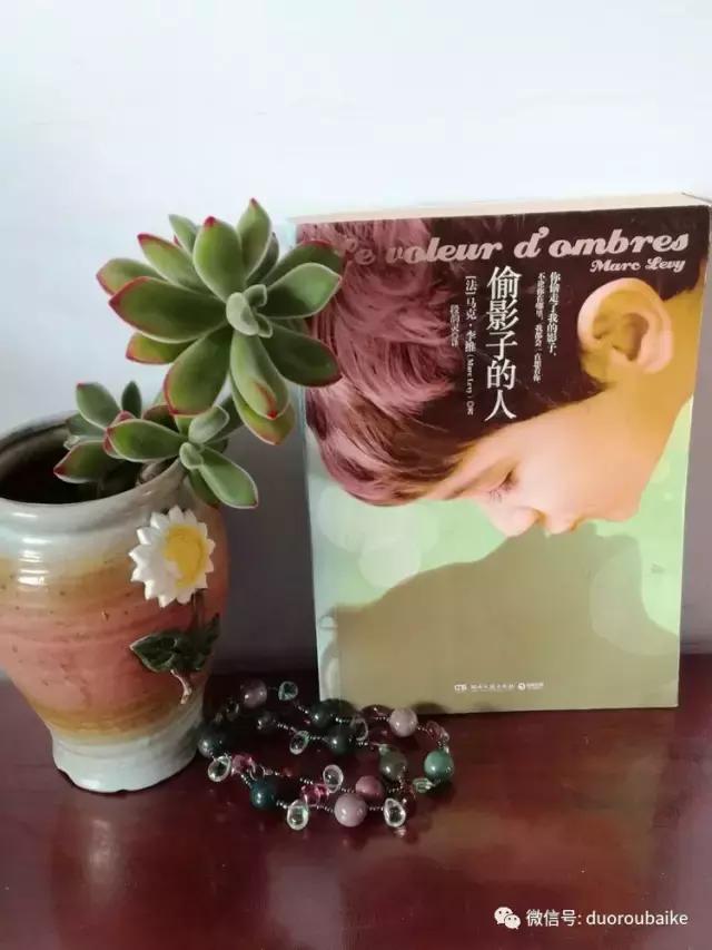 原来多肉与书更配哦！文艺范走起！