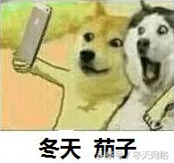 qq电脑管家电脑开机加速,qq电脑管家定时关机