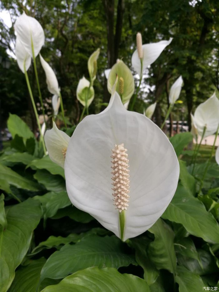 在最好的年代遇到最好的你,在最好的时代遇见了你