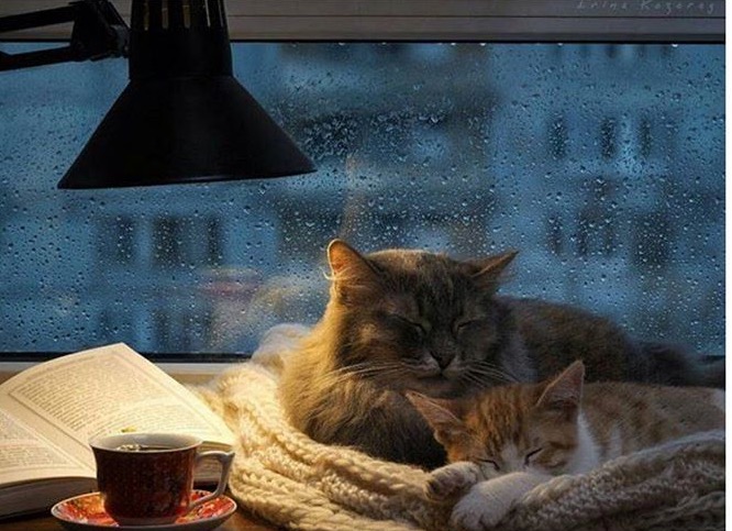 严重失眠入睡音乐催眠冥想2小时,深夜是心灵最脆弱的时候