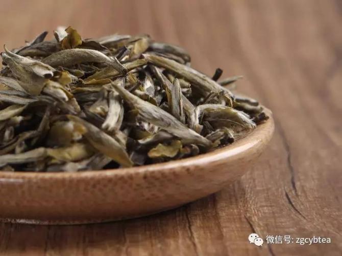 香浓茉莉绿茶推荐哪种茶叶,好喝的茉莉绿茶茶叶品种