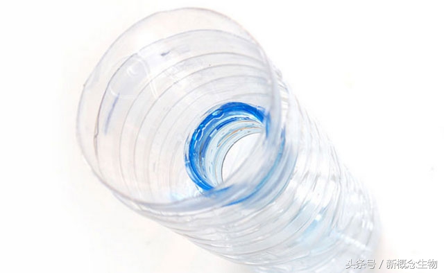 猪舍内蚊蝇自制小秘方,猪场捕苍蝇神器大全