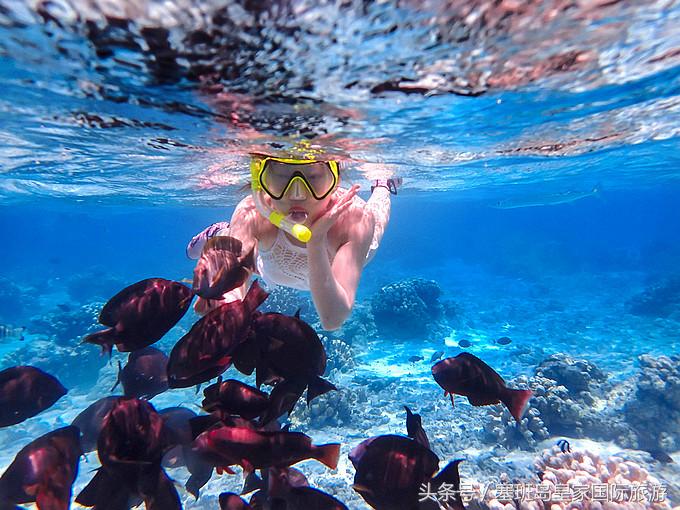 去塞班岛旅游需要准备什么 (去塞班岛旅游准备什么东西)