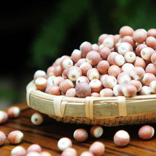 长在河里的板栗,长在水里的一种坚果