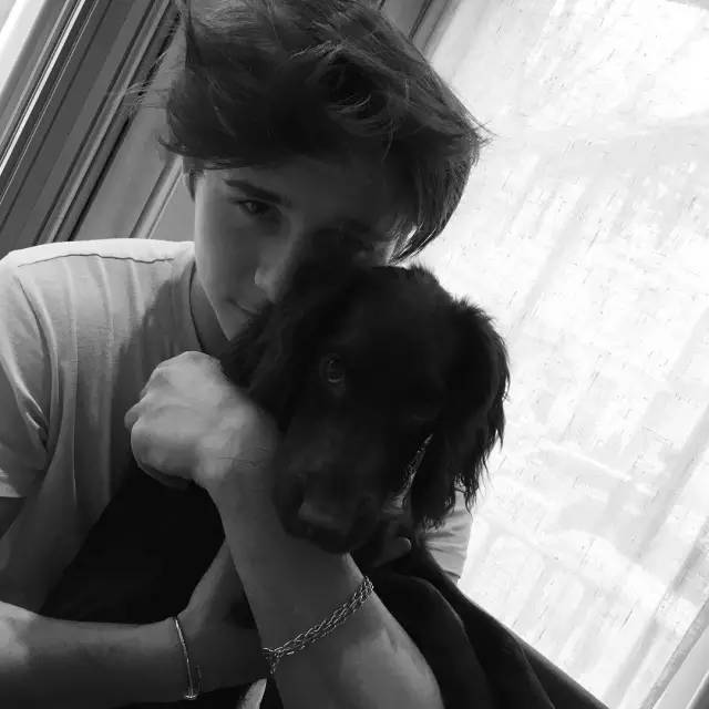 小贝穿衣搭配技巧,小贝教穿搭