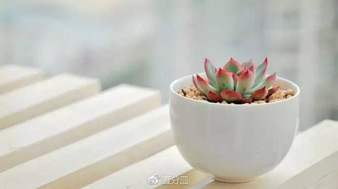 滚蛋吧，黑腐君！深度解析黑腐成因和解决之道