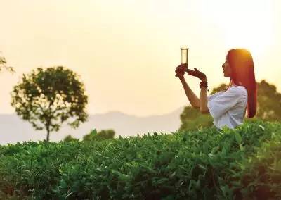 「UpToDate」春夏之交，这些臭虫蜱虫螨虫隐翅虫……又出来咬人了