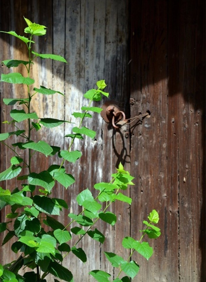 老祖宗留下来的7句狠话句句在理,老祖宗留下来的金句句句在理