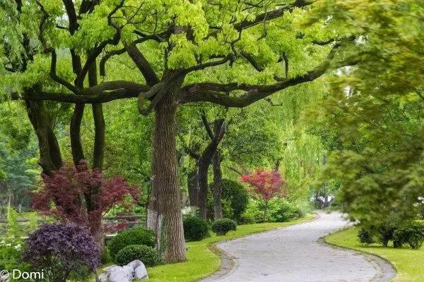 杭州g20峰会晚宴西子宾馆,g20峰会西子宾馆合影