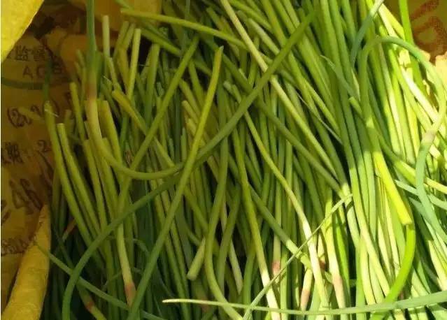 邳州蒜薹滞销,山东蒜薹滞销原因