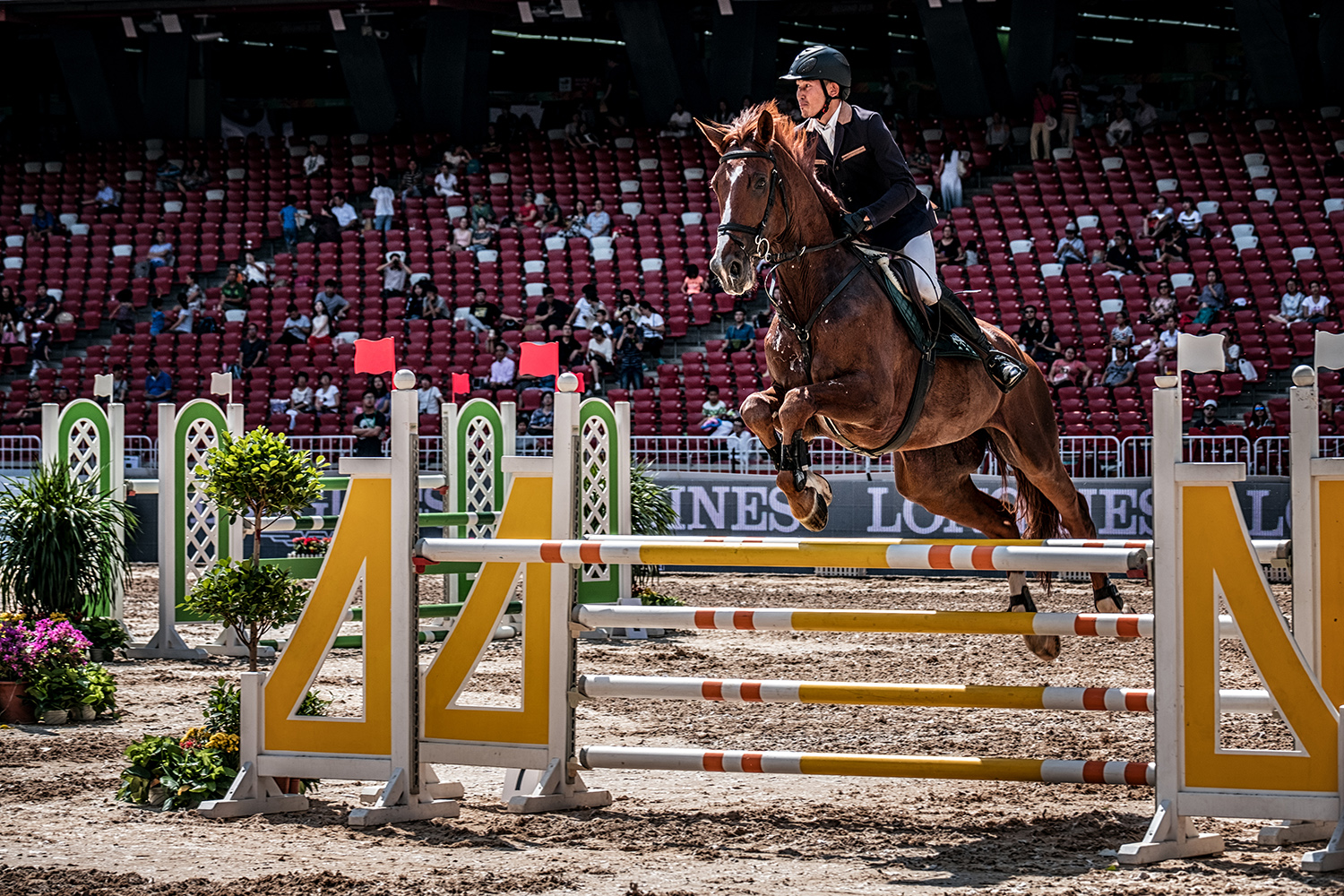 鏈潵甯屾湜涔嬪厜瑙嗛,鏈潵涔嬪厜甯屾湜涔嬪厜