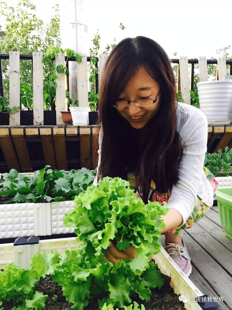 鎴戝湪妯辫姳灏忛晣,鍦ㄦū鑺遍鑸炵殑瀛ｈ妭