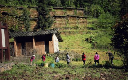 武隆天坑寨子银器真假,武隆天坑古寨