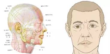 一觉醒来就成面瘫,一觉醒来变成面瘫男孩