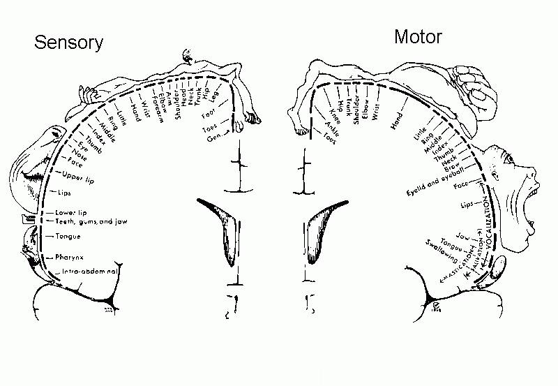 耳鬓厮磨的最佳解释,耳鬓厮磨是什么感觉
