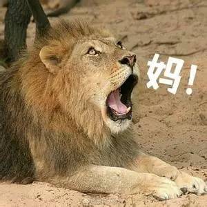 2023母亲节热门话题,话题母亲节上热门