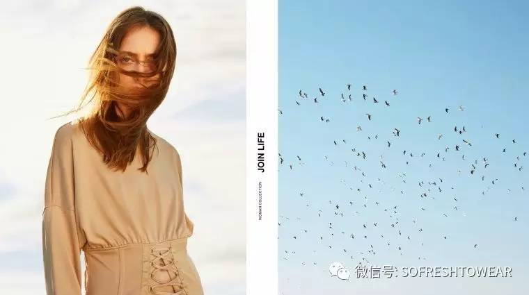 zara最近新消息,zara产品系列