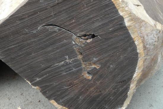 普通乌木和极品乌木的区别和价格,珍华乌木和玫瑰乌木