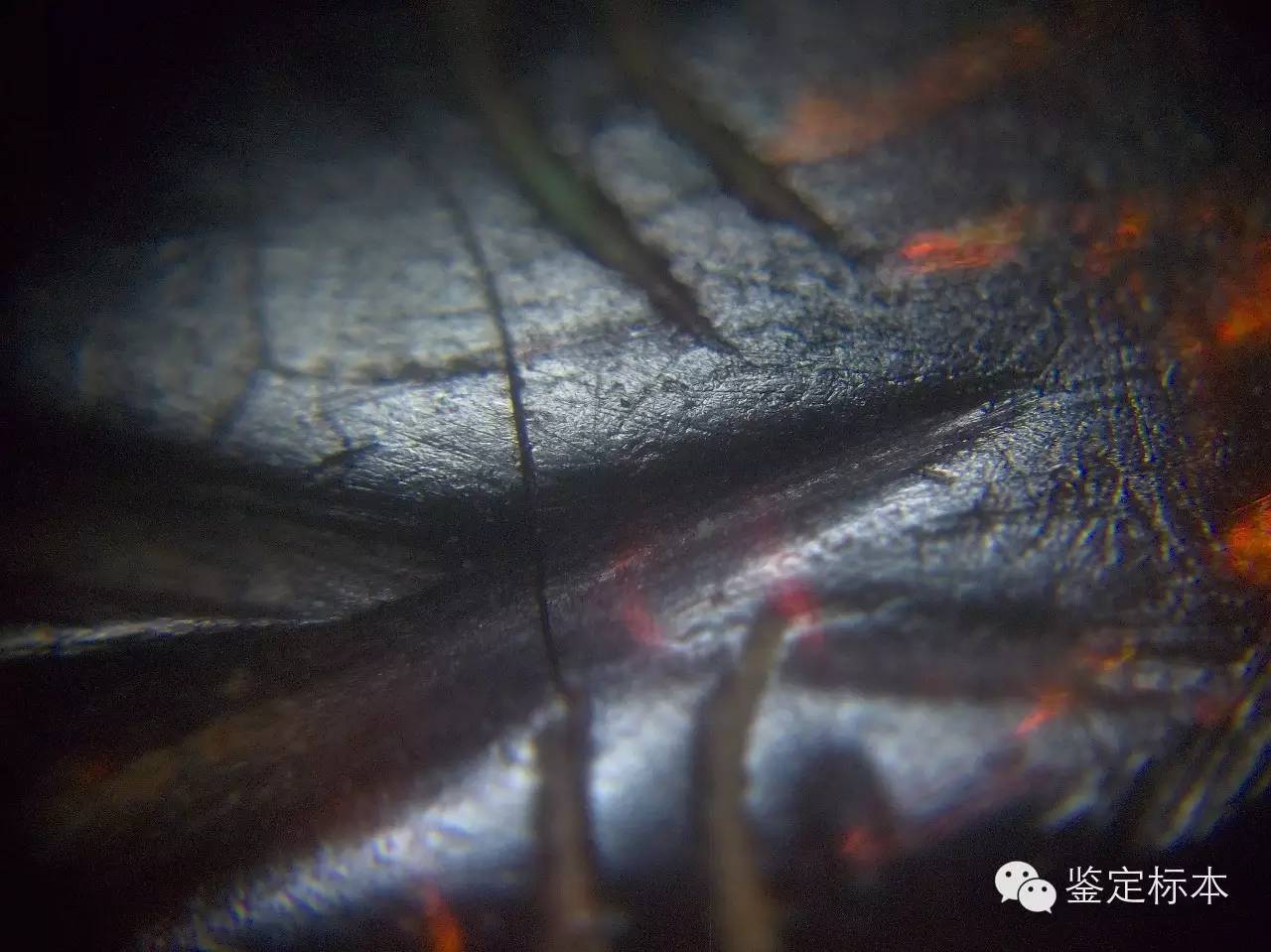 不要被专家忽悠,汉代琥珀珠子特征是什么