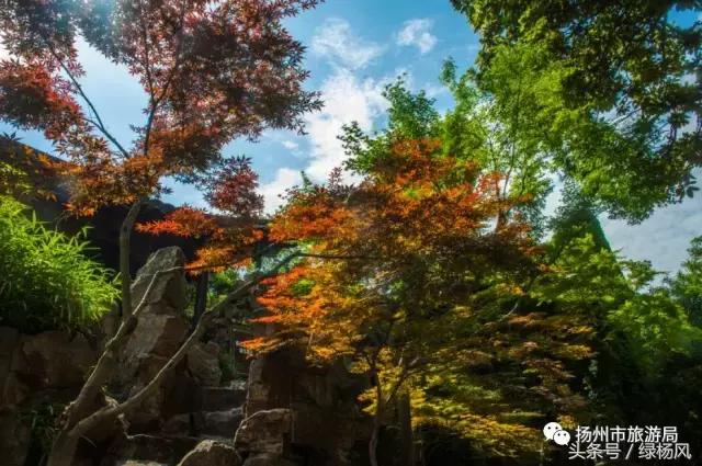 美爆了晚霞中的扬州,美丽的大扬州美景