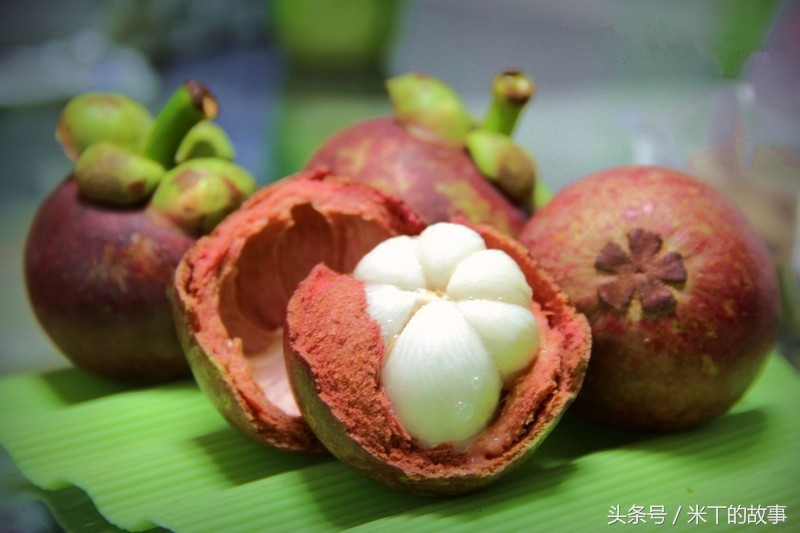 山竹水果皇后图片,热带水果皇后山竹视频