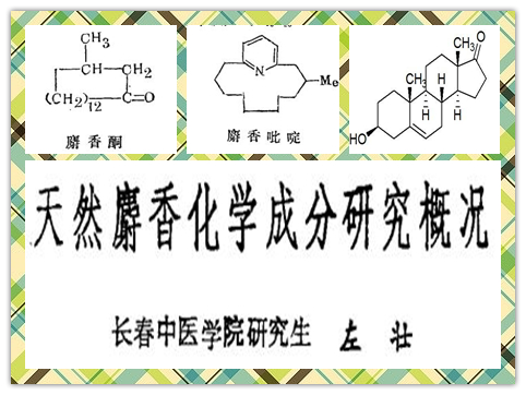 人工麝香和天然麝香区别,人工麝香和天然麝香疗效一样吗