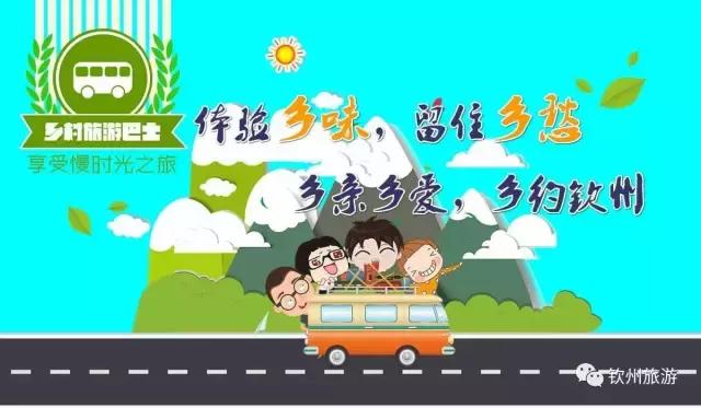 五一钦州旅游攻略及费用,钦州旅游活动