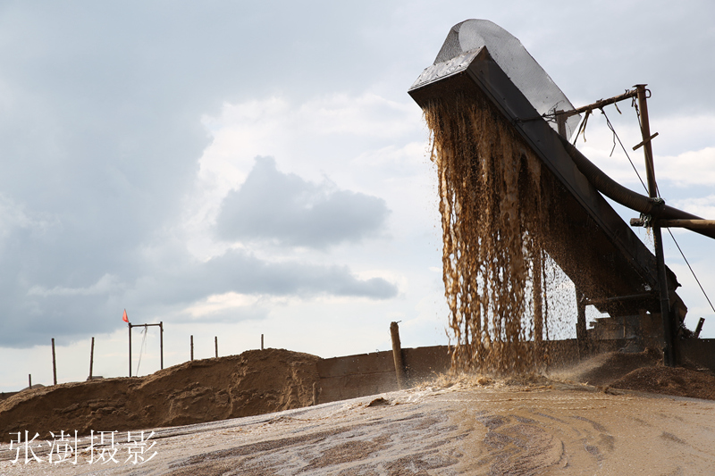 嫩江玛瑙多出自砂场为了得到玛瑙石总有人请求免费干活