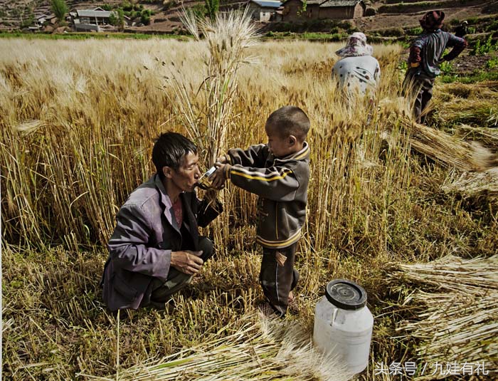 人活脸树活皮好不好,人活眉眼树活皮类似格言