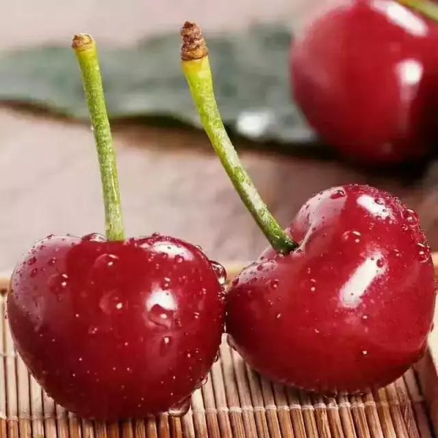 北京已开园的樱桃园,2024樱桃园开放时间