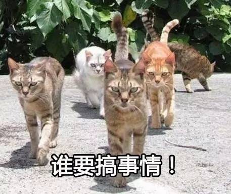 矮大紧长相图片,14到18岁脸型对比图