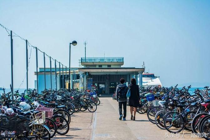 香港好玩景点排行榜前十名,香港游玩好看的风景照