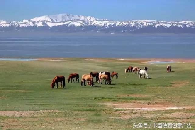 2万5千公里有多远,2万五千公里跨越半个中国