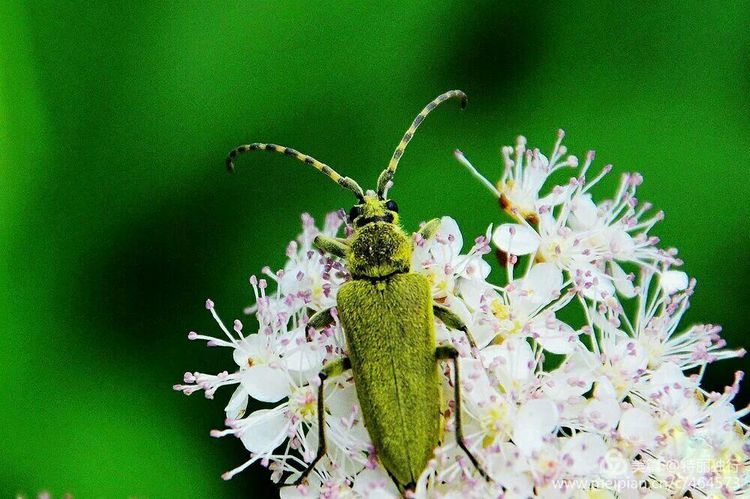 走过四季夏天最美,走过春夏美丽的秋冬