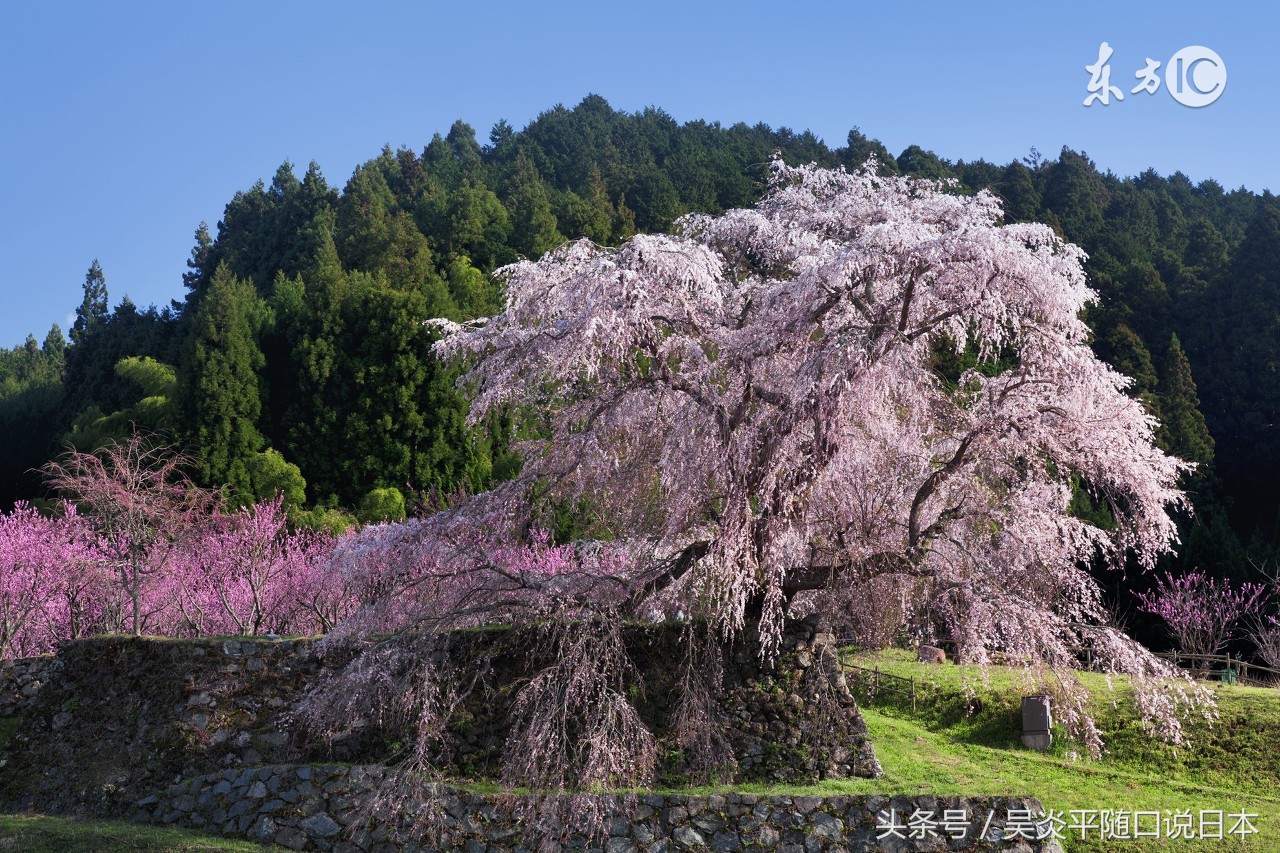 如何办理日本签证的流程,个人怎么申请日本签证流程图表