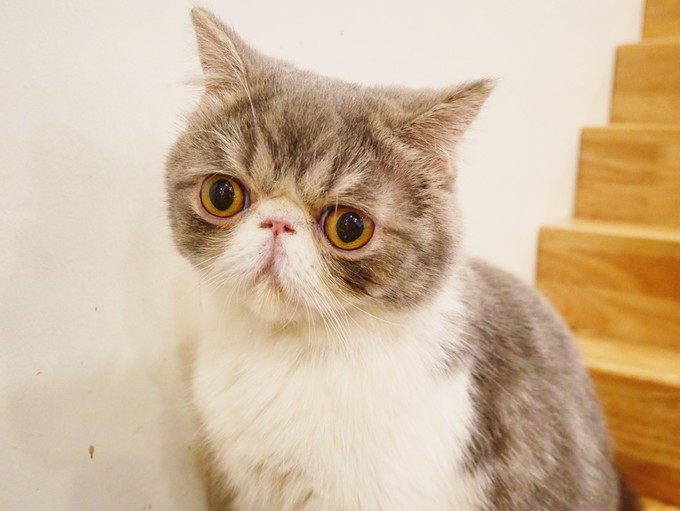 三天吃遍曼谷精选美食（给第一次去曼谷的你）