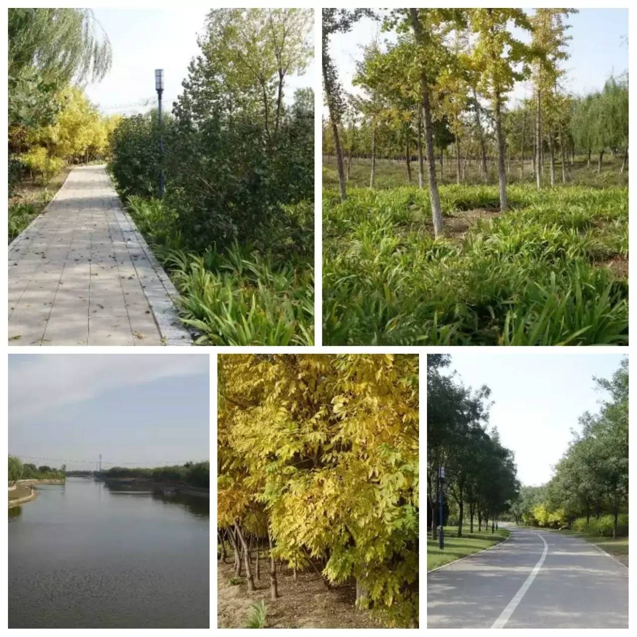 我用30万步,走遍石家庄公园