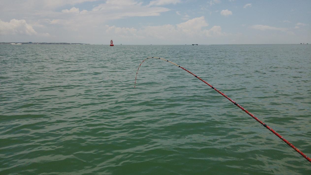 钓带鱼最好用什么饵料最好,钓带鱼用闪光灯好还是常亮的好