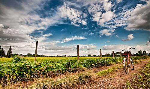 治腰间盘突出什么方法有效,治疗腰间盘突出最佳动作