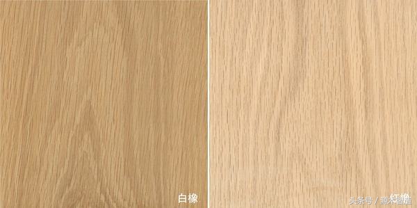 木材介绍之橡木,橡木是什么树的木材